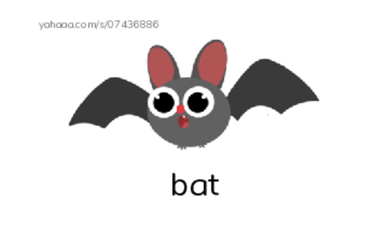 Index cards with pictures worksheet for AT HOME