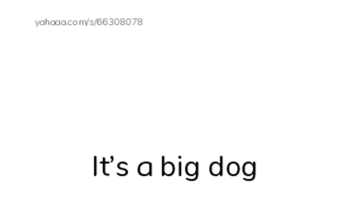 Index cards with pictures worksheet for It’s a big dog, it’s a little notebook, it’s a new car and 5 more
