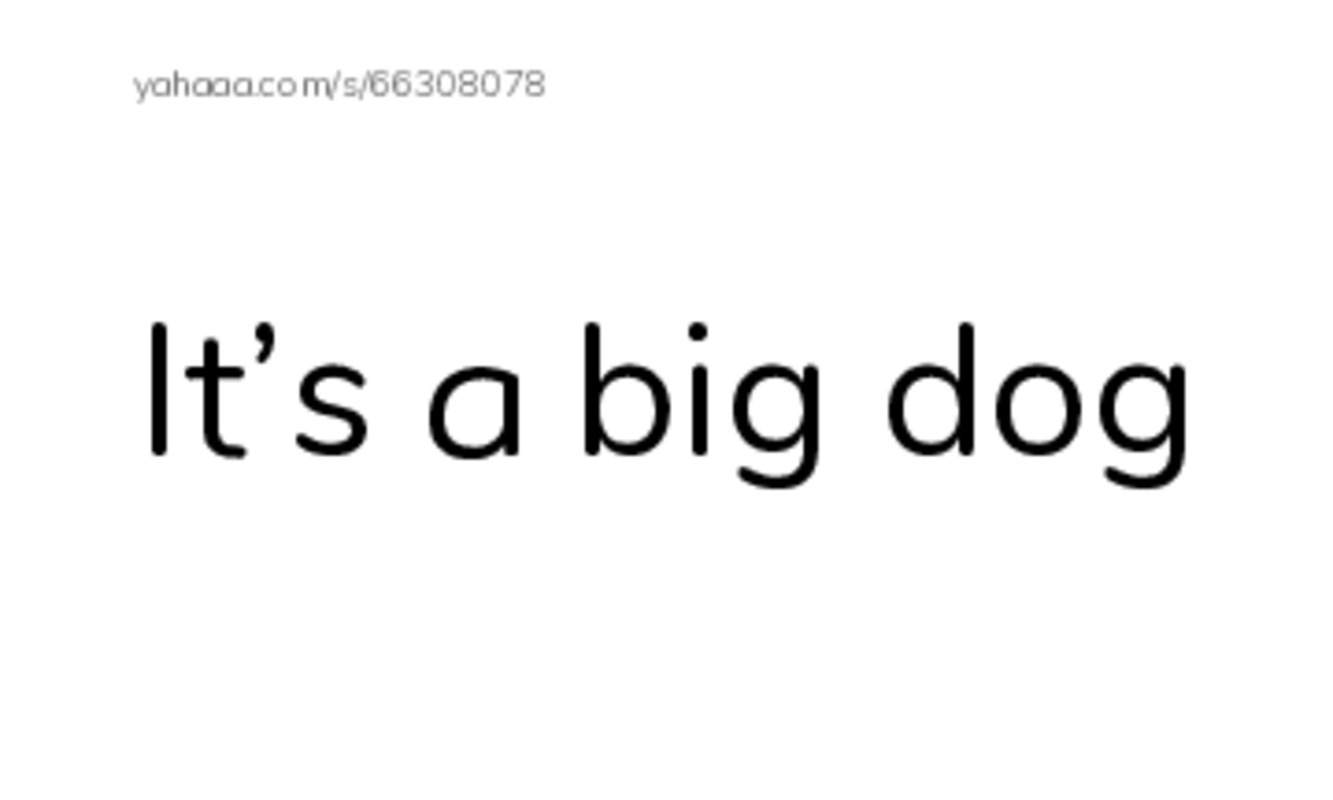 Index cards, words only worksheet for It’s a big dog, it’s a little notebook, it’s a new car and 5 more