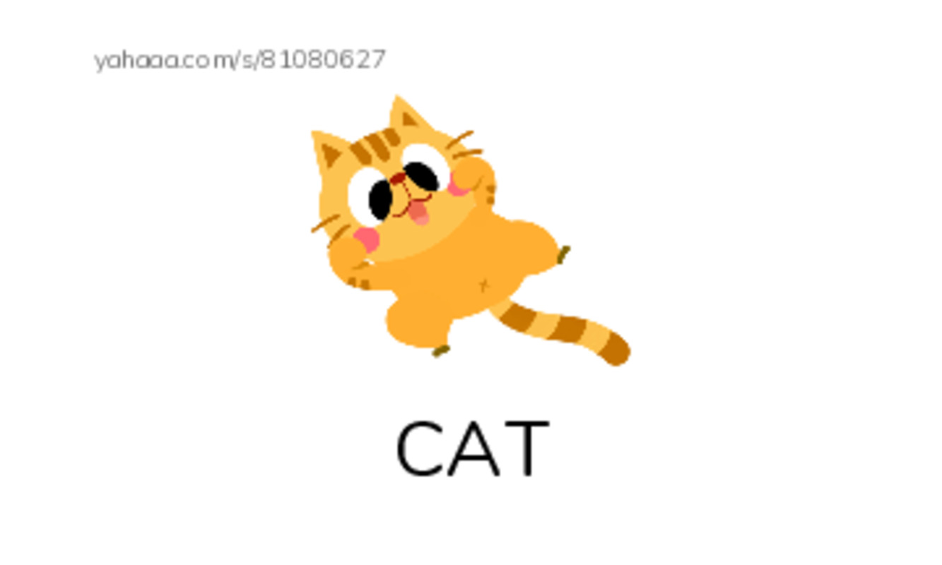 Index cards with pictures worksheet for Animals