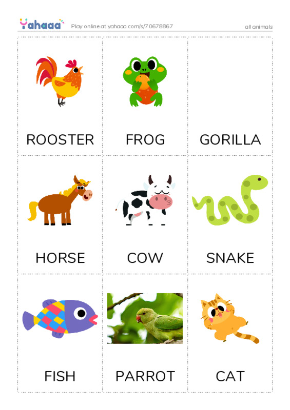 Picture flashcards worksheet for all animals