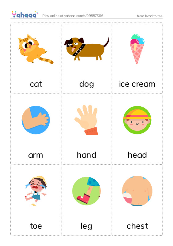 Picture flashcards worksheet for from head to toe