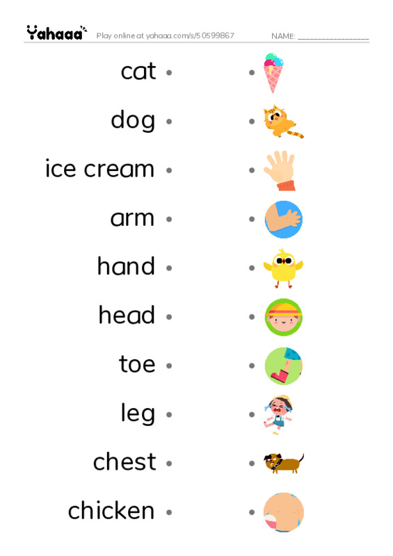 Draw a line to match worksheet for from head to toe