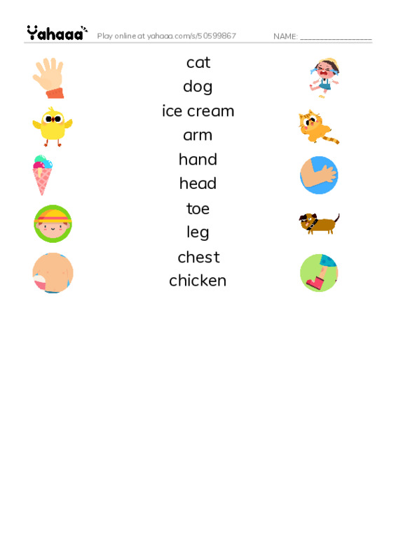 Match both sides worksheet for from head to toe