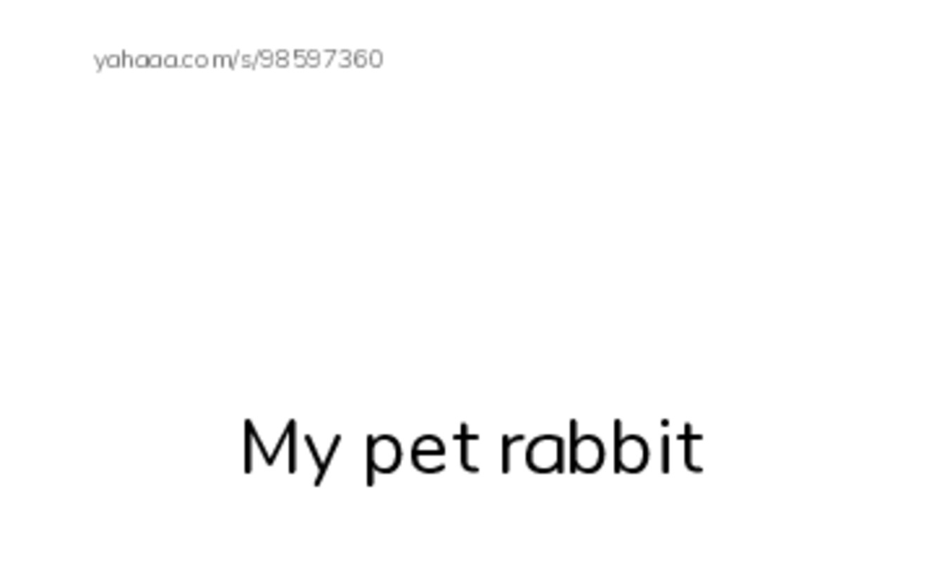 Index cards with pictures worksheet for My pet rabbit, Pet, A pet is an animal that lives in your house and 4 more