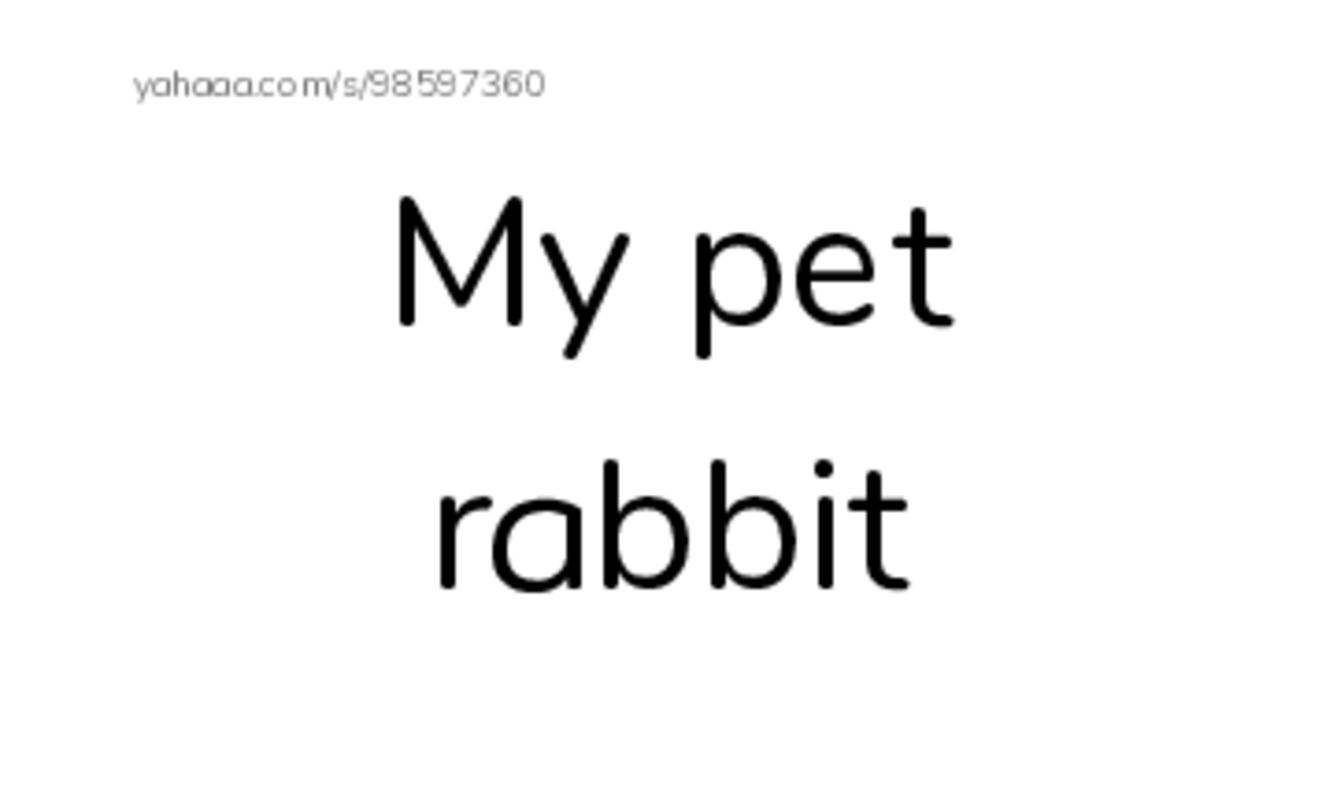 Index cards, words only worksheet for My pet rabbit, Pet, A pet is an animal that lives in your house and 4 more