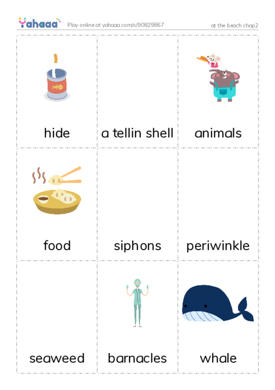 Picture flashcards worksheet for at the beach chap2