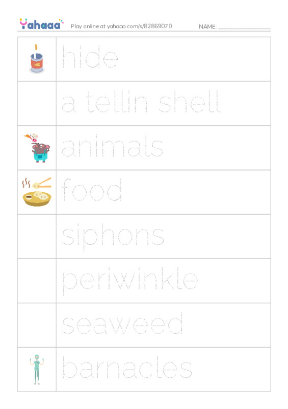 Picture and word rows worksheet for at the beach chap2