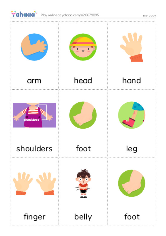 Picture flashcards worksheet for my body