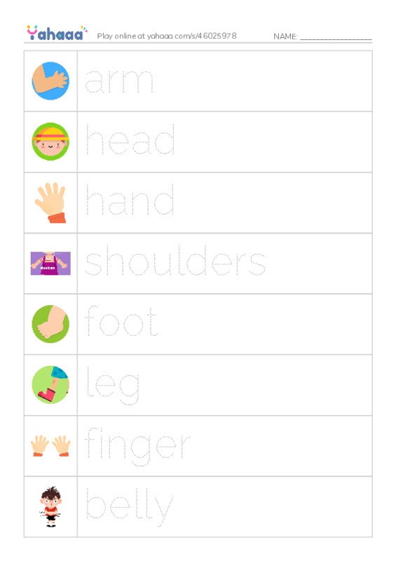 Picture and word rows worksheet for my body