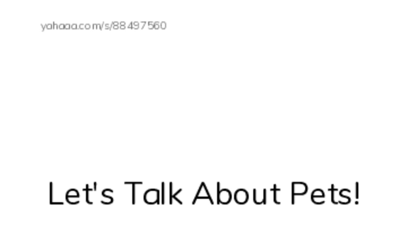 Index cards with pictures worksheet for Let's Talk About Pets!, seashell, ship and 12 more