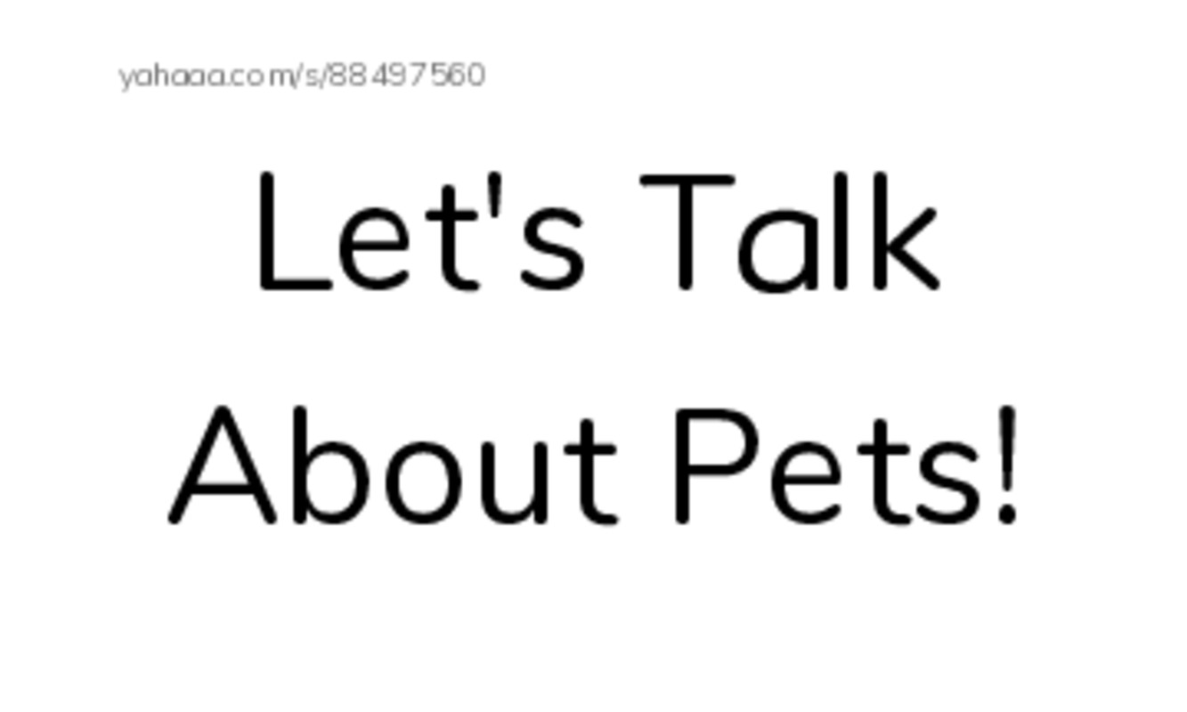 Index cards, words only worksheet for Let's Talk About Pets!, seashell, ship and 12 more