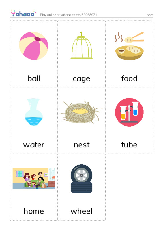 Picture flashcards worksheet for ham