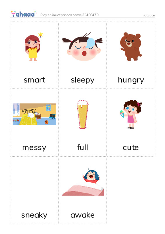 Picture flashcards worksheet for raccoon