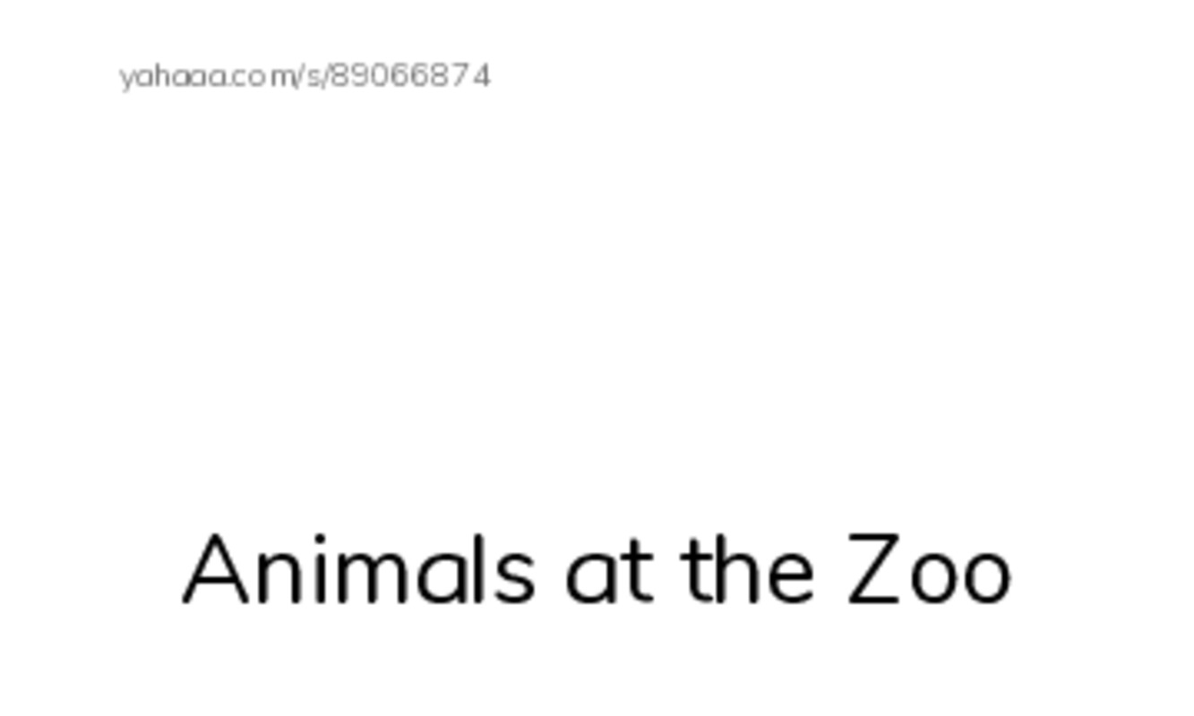 Index cards with pictures worksheet for Animals at the Zoo, Elephant, The elephant has a big nose and 4 more