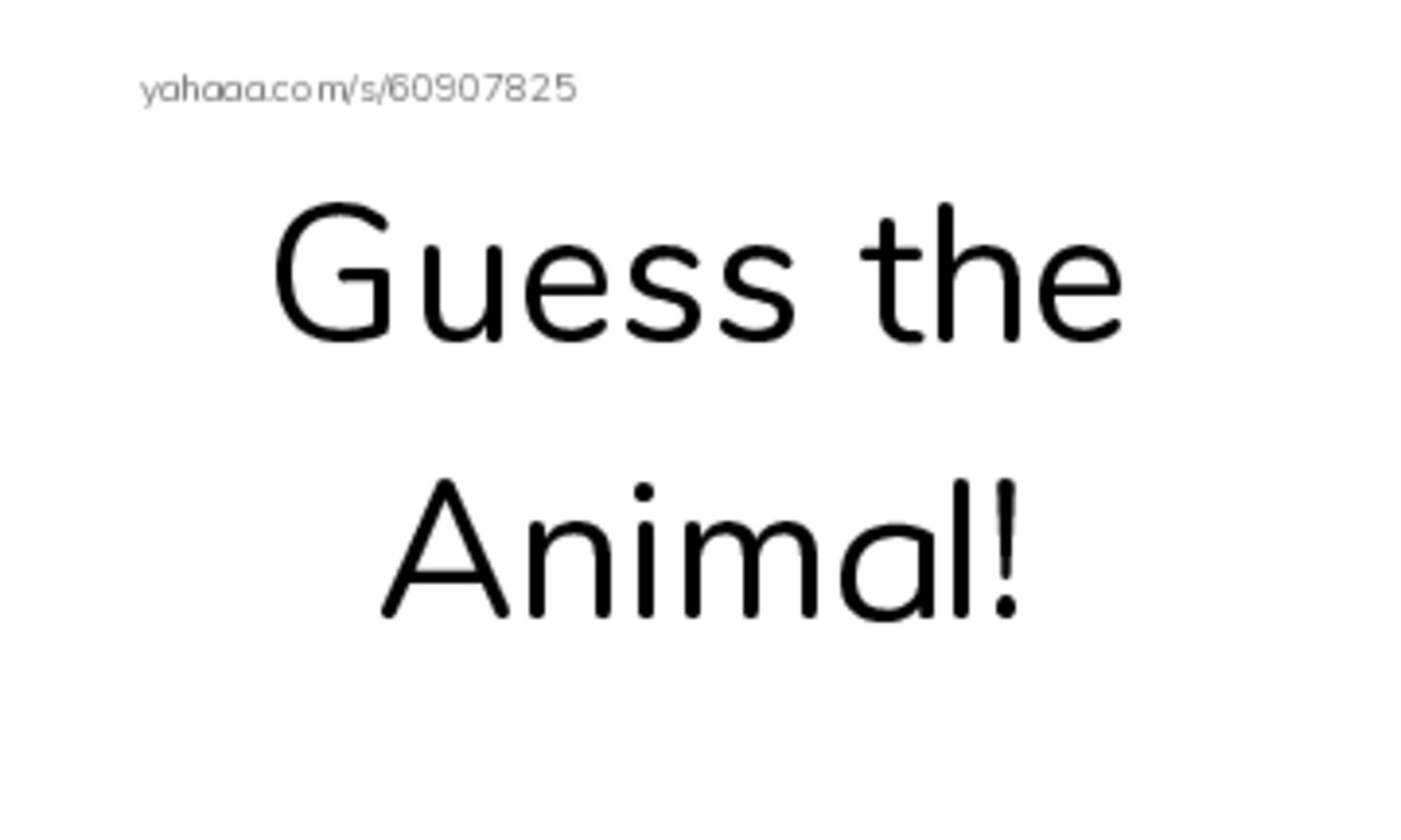 Index cards, words only worksheet for Guess the Animal!, where, whale and 12 more