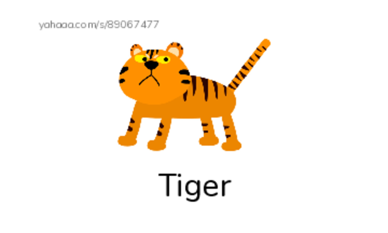 Index cards with pictures worksheet for Letter Tt