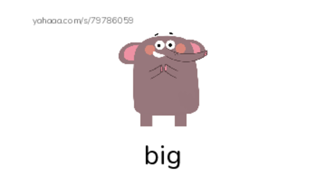 Index cards with pictures worksheet for Big
