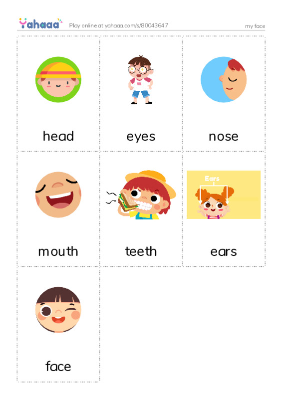 Picture flashcards worksheet for my face