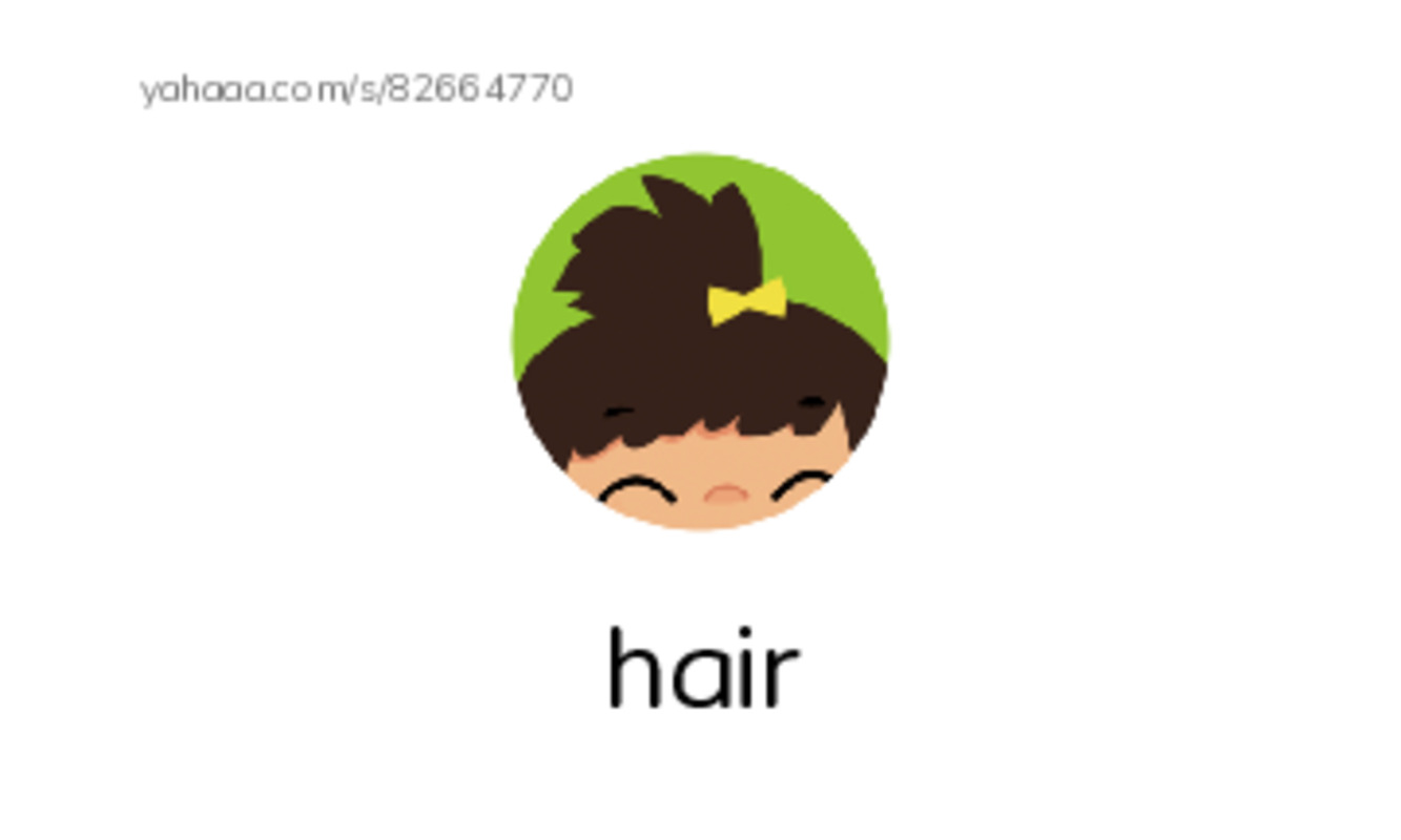 Index cards with pictures worksheet for Hair