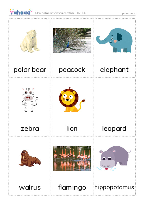 Picture flashcards worksheet for polar bear