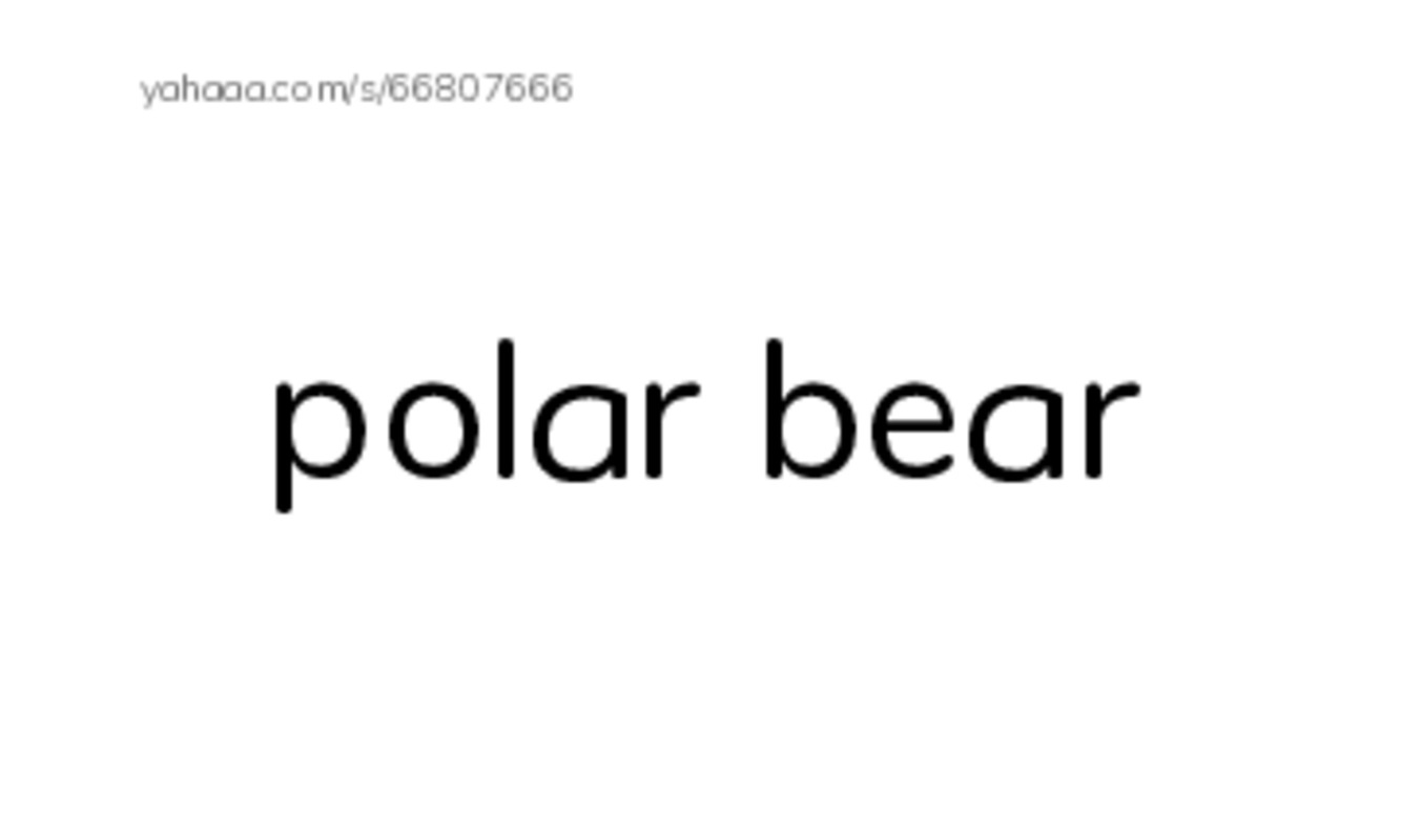 Index cards, words only worksheet for polar bear