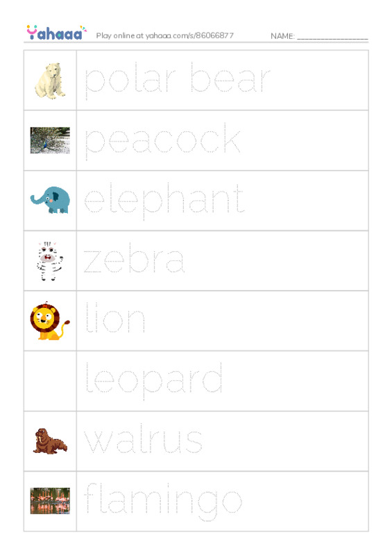 Picture and word rows worksheet for polar bear