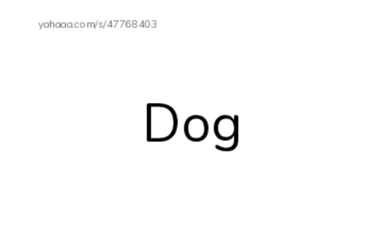 Index cards with pictures worksheet for Animals at home