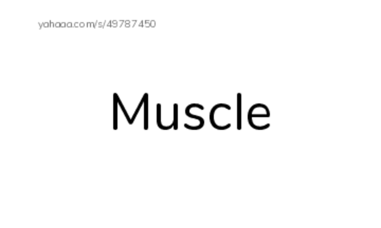 Index cards, words only worksheet for Muscles razkid level A